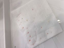 -蕾特恩专业祛痘·皮肤管理