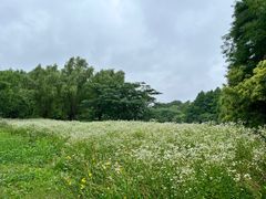 -梁鸿国家湿地公园