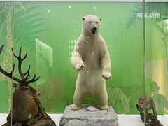 -国家自然博物馆