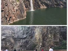 -上海辰山植物园