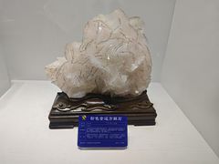 -阆中博物馆