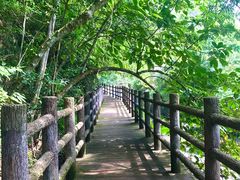 -广州市石门国家森林公园