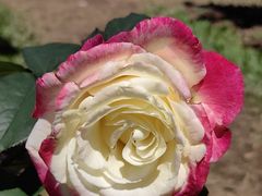 -人民公园(罗湖区)