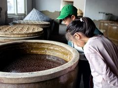 -苏州市吴中区光福窑上花果蜜饯厂