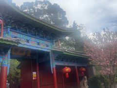 -黑龙潭公园