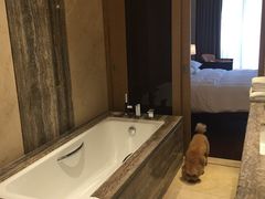 -上海崇明金茂凯悦酒店