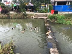 -石塘人家