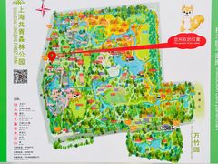 -上海共青森林公园