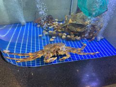 -熙瓏里(万科店)