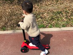 -龙寺生态园