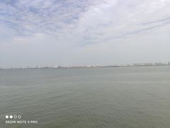 -大湾区中央湿地公园