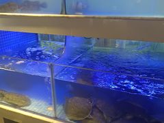 -王捌小院(红花坡店)