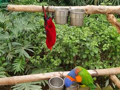 -南宫五洲植物乐园