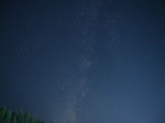 -武陵山森林公园