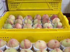 -老袁家蜜桃农场·阳山水蜜桃