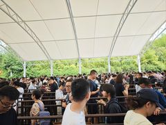 -句容茅山景区