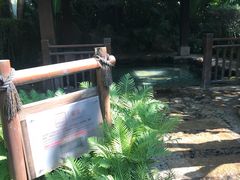 -厦门日月谷温泉渡假村