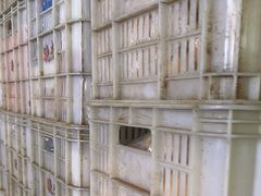 -江杨农产品批发市场