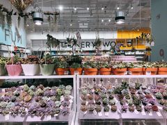 -KKV(深圳宏发大仟里店)