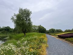 -梁鸿国家湿地公园