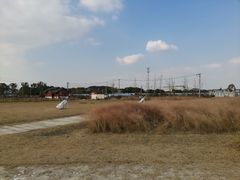 -鹅湖玫瑰文化园