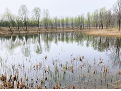-东郊湿地公园