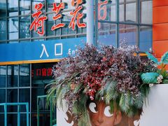 -荷兰花海