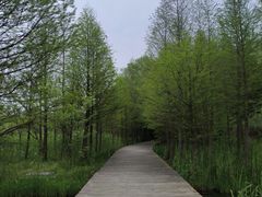 -溱湖国家湿地公园