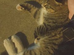 -UNI UNI(环亚凯瑟琳店)