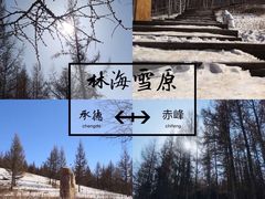 -塞罕坝国家级自然保护区