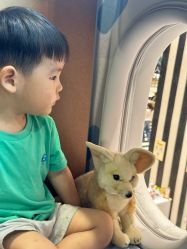 -奈尔宝家庭中心·亲子餐厅(鄞州万达店)