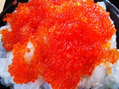 -肥龙火锅(南坪店)