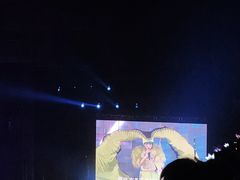 -南京奥林匹克体育中心-体育馆