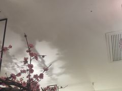 -老板恋上鱼(荣盛广场店)