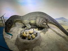 -国家自然博物馆