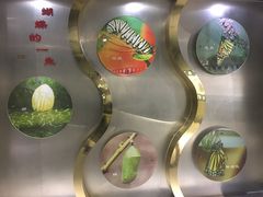 -上海昆虫博物馆