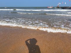 -日照海滨国家森林公园