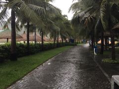 -绿茶餐厅(华联万柳店)