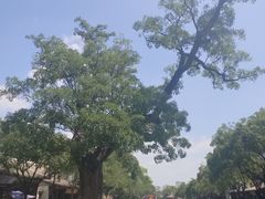 -清真天水老巷道餐厅