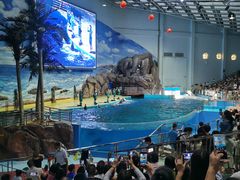 -福州罗源湾海洋世界旅游区