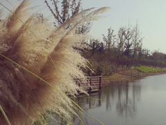 android_upload_pic-阳澄湖费尔蒙酒店