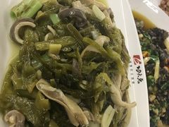 -功夫兔