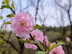 -北宫国家森林公园