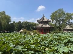 -莲池书院博物馆