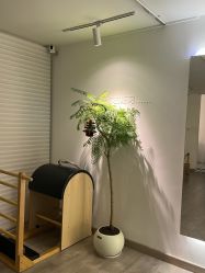 -闺蜜瑜伽·普拉提女性塑形馆