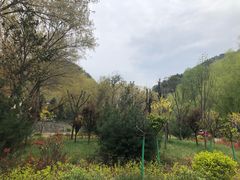 -方中山胡辣汤(西安高新区店)