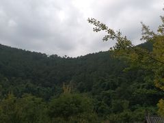 -楠柏弯休闲山庄(梨花溪店)