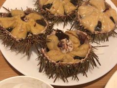 -海胆小馆(东北水饺·春柳店)