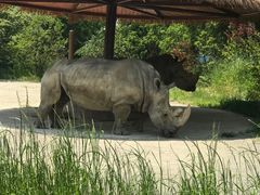 -宁波野生动物园