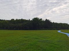 -宜兴龙背山森林公园